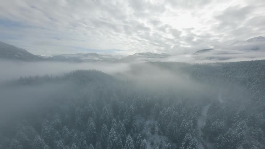 A dense forest of snowcovered trees is enveloped in mist with distant mountains partially obscured by clouds under a mostly overcast sky