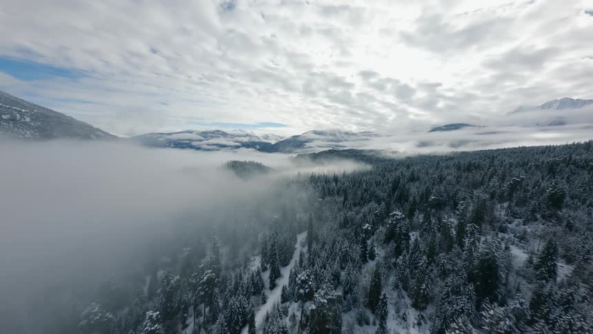 Aerial View of a Snow-Covered Pine Forest with Dense Fog on the Left