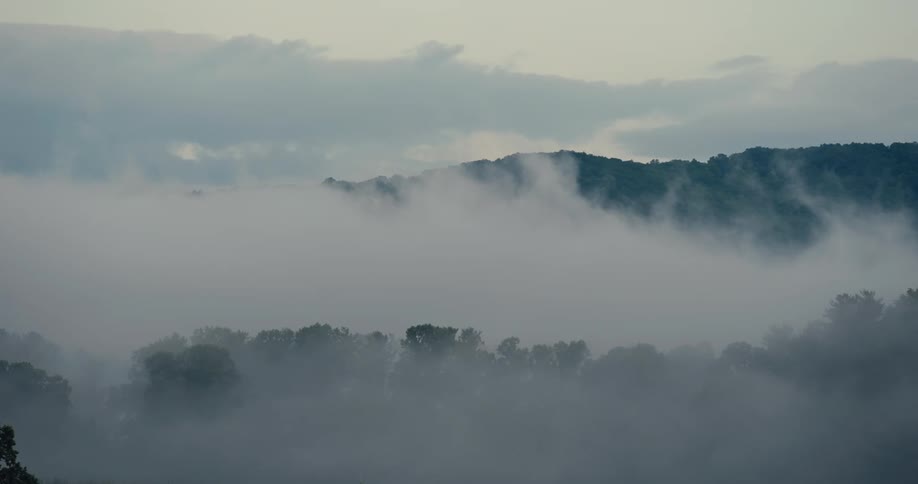Mist hangs heavy over a tranquil landscape obscuring the base of a forested hill and softening the scene with a thick ethereal fog