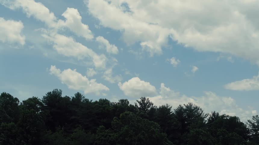 Cluster of green trees against a cloudy blue sky