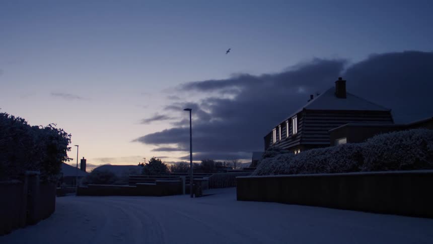 A snowy suburban street scene at dusk with a bird visible in the sky above a house with lit windows