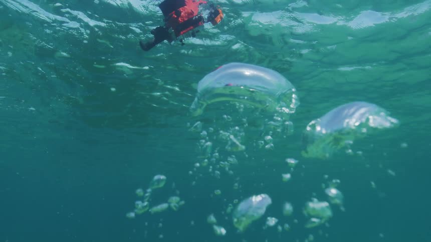 Diver at the bottom of the ocean releasing air bubbles that rise to the surface