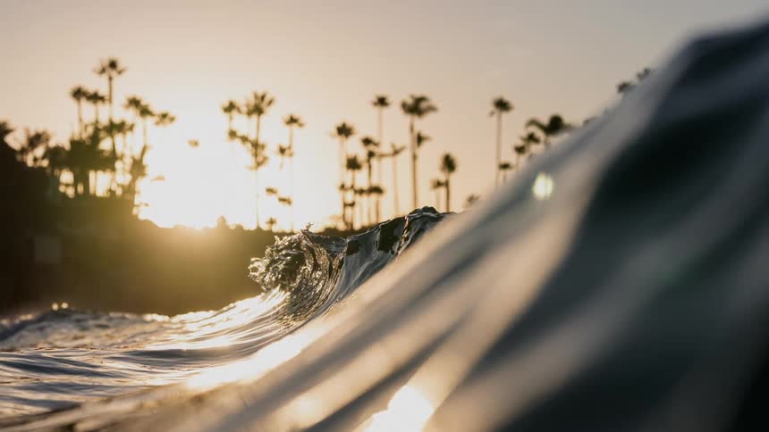 Wave forming in the ocean with palm trees and the sun in the background