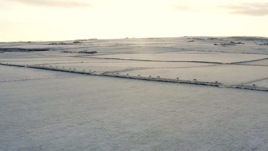 A vast snowcovered landscape stretches to the horizon under a pale sky marked by lines of fences