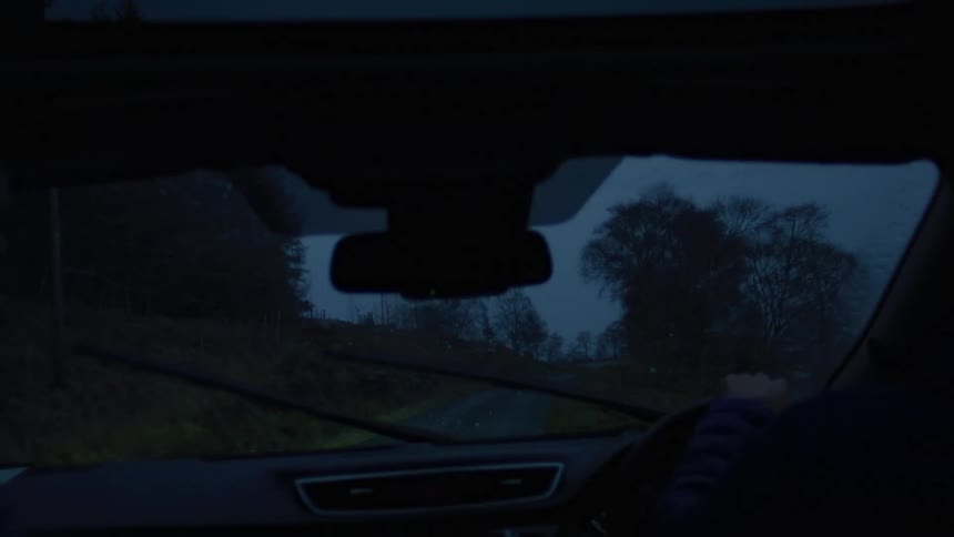 Silhouette of a person driving a car through a natural area at night