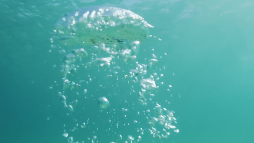 Diver releasing oxygen bubbles as he rises towards the surface