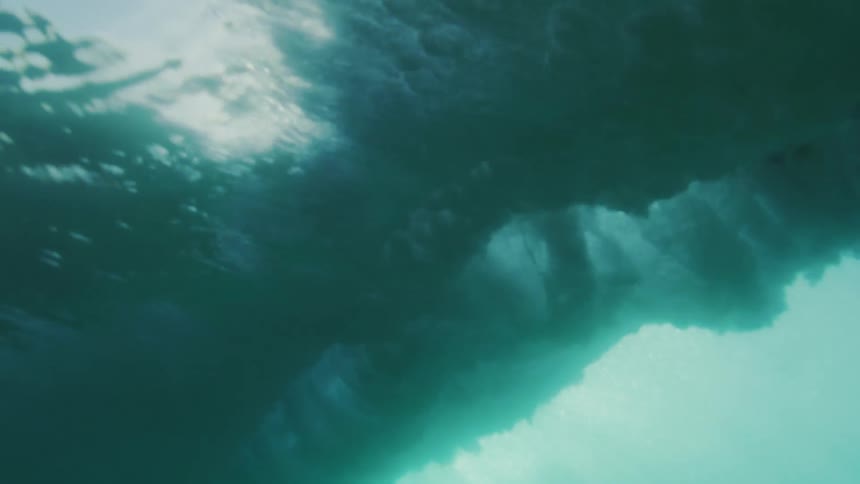 Two people are scuba diving in a body of water