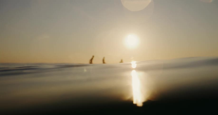 Silhouette of three surfers in a calm ocean