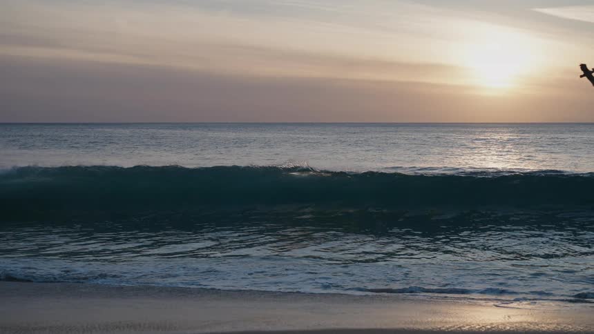 Two seagulls fly over a softly crashing wave in a serene ocean scene with the sun setting on the horizon