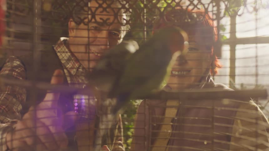 Two people watching two green parakeets in a cage
