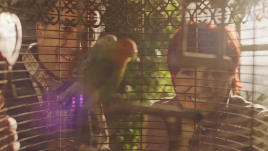 People are looking at a green parrot with a red beak and a yellow canary with a dark beak perched inside a decorative metal birdcage