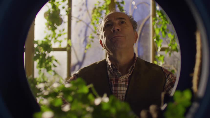 A person is seen through the center of a blue tire that is being used as a planter for green leafy plants with a background of a greenhouse or indoor garden