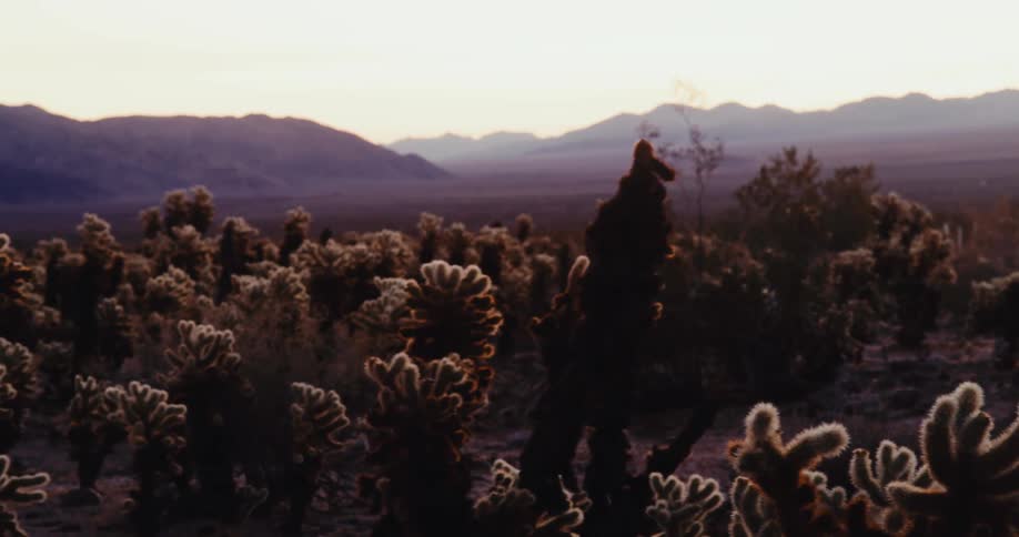 Floor plans in a desert setting with mountains in the background