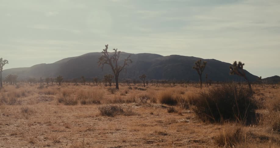 A vast arid landscape stretches under a hazy sky featuring dry brushy terrain dotted with sparse vegetation and a dark mountain range silhouetted in the distance