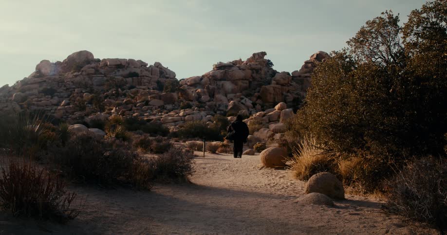 Man from behind walking along a trail
