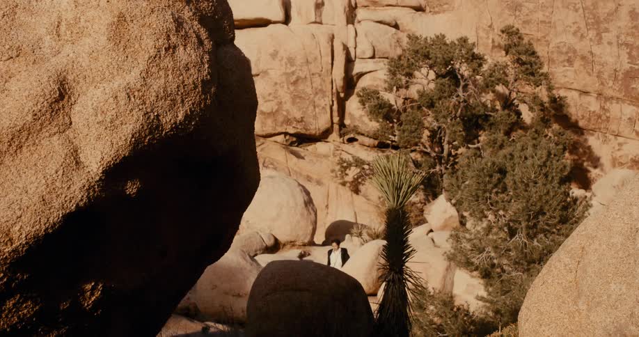 A person is walking between some stones in a valley with a tree next to it and everything is being washed away by the sunlight