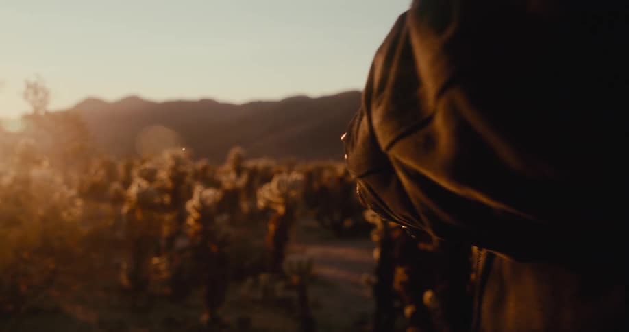 A person is holding a vintage camera in hand walking in a desert landscape in the background during sunset