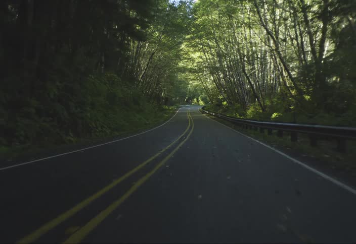 A winding forest road curves beneath lush canopy revealing a guardrail as it bends through the greenery