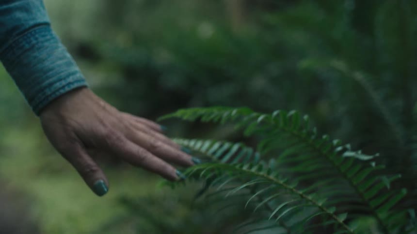A person is touching a branch in the forest