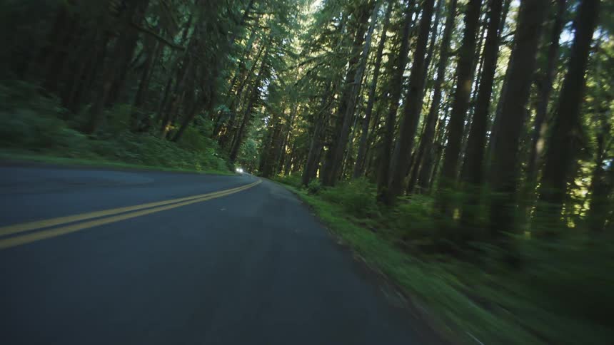 A cars perspective shows a winding road curving through a dense forest with tall trees lining the roadside