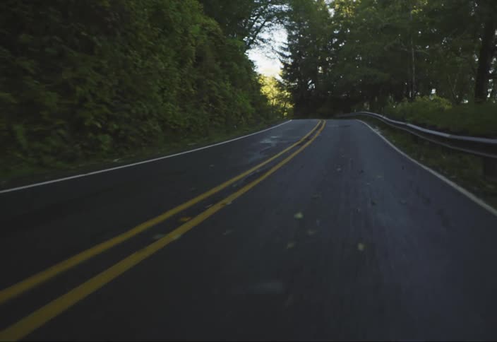 From the perspective of a driver a winding road stretches ahead through a dense forest