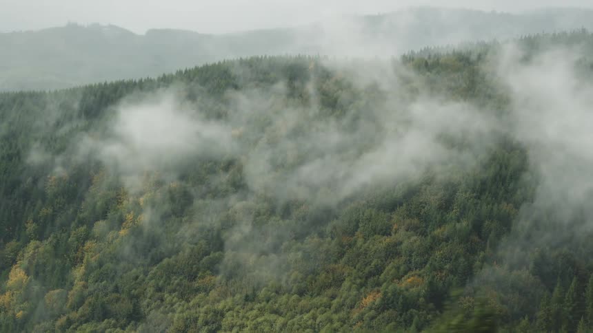 An aerial clip of a jungle covered with mist