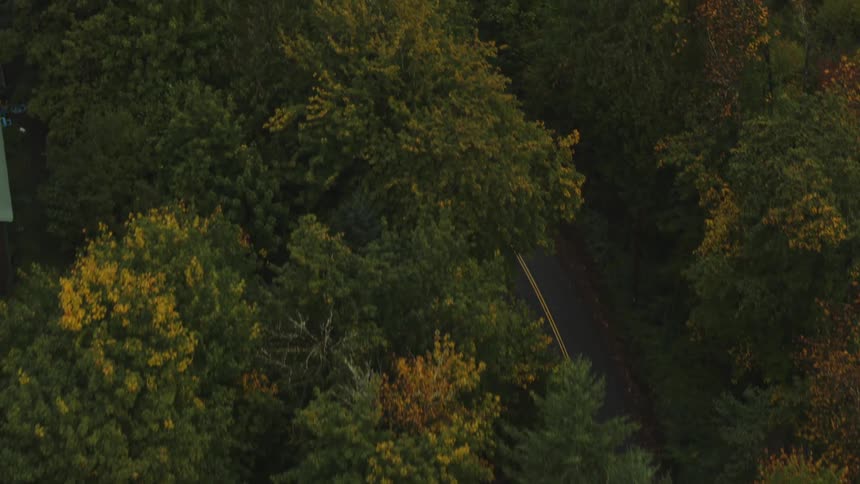 An aerial view shows a winding country road with double yellow lines bordered by lush green trees with hints of early autumn foliage