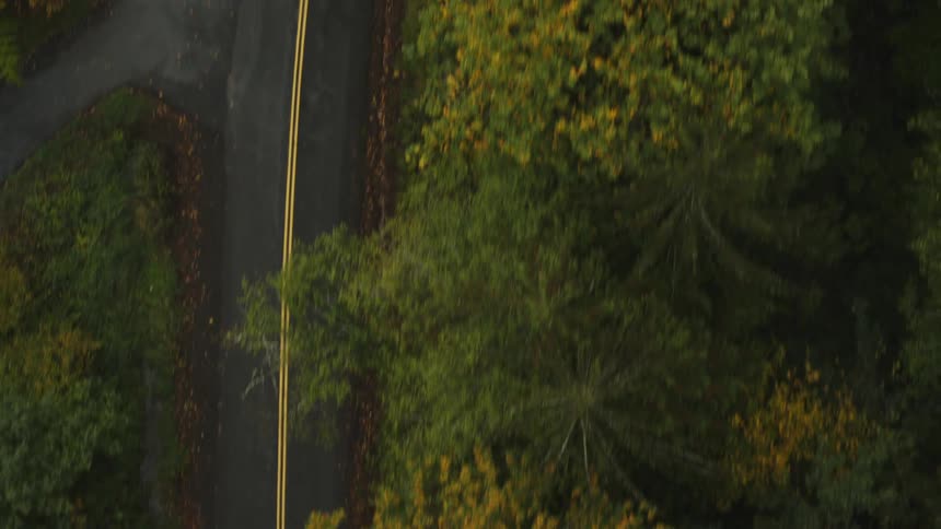 An aerial view of an asphalt street with a yellow stripe in the middle and several trees around it
