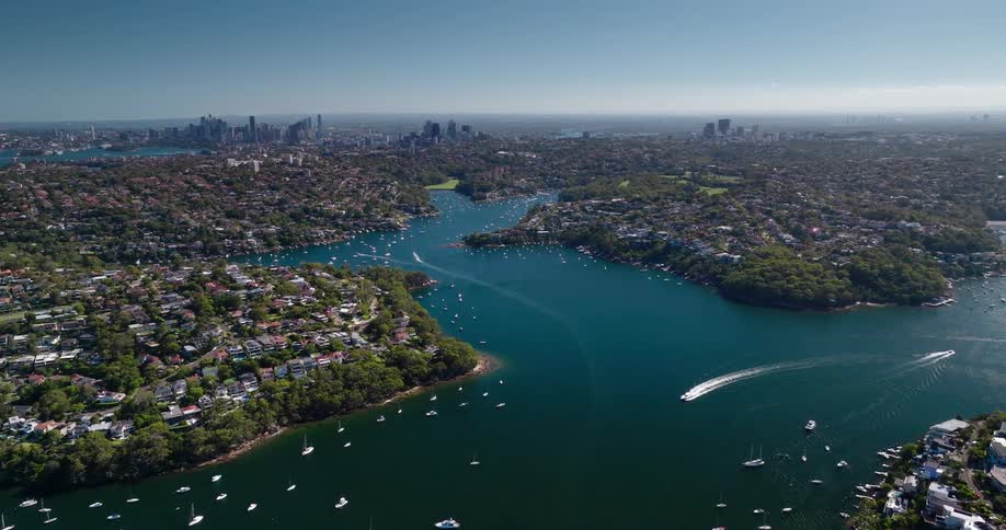 Aerial view shows a bay with dozens of anchored boats surrounded by leafy residential areas with a city of skyscrapers in the background