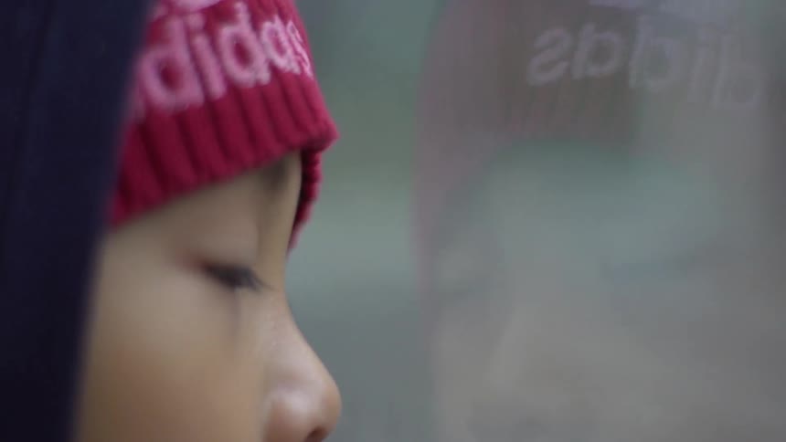 A child looking out of a window