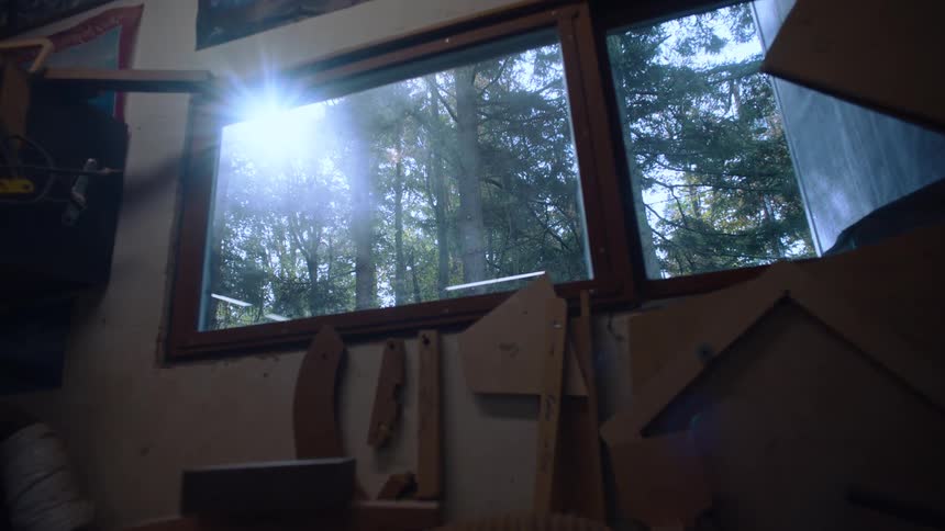 Through a woodenframed window a dense forest contrasts with the cluttered interior of a woodworking workshop filled with tools and scraps