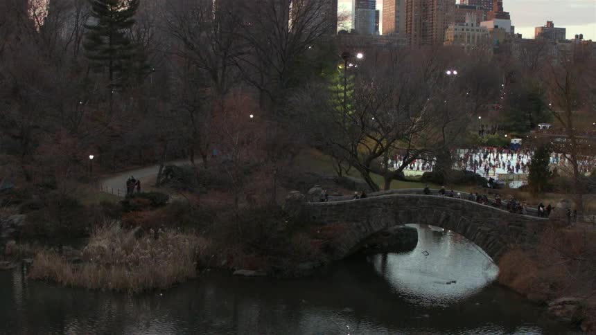 A group of people walking a path through a park in the distance