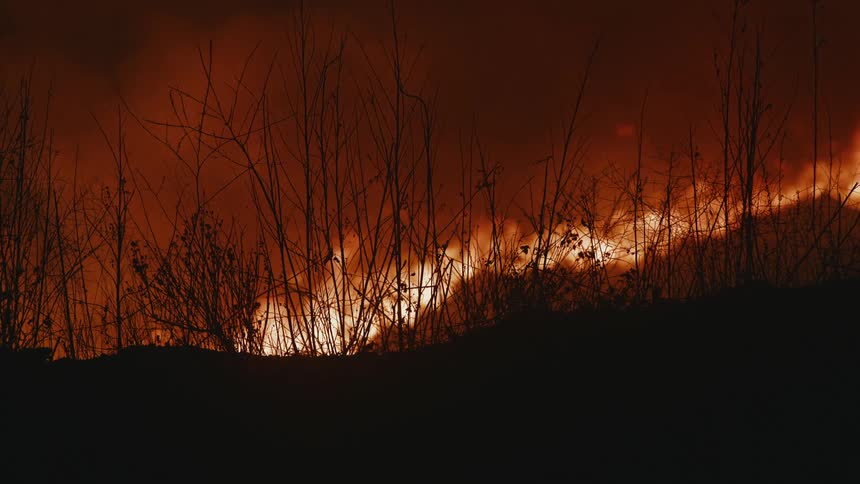 A raging forest fire