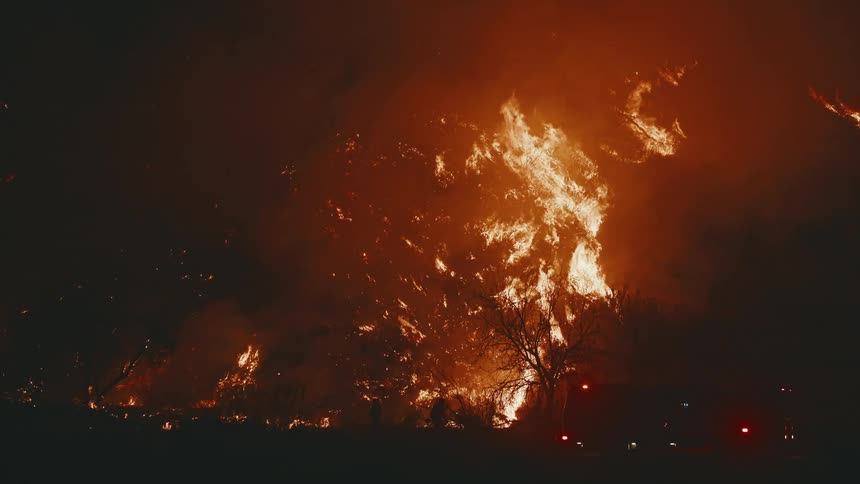 Forest fire consumes vegetation during the night