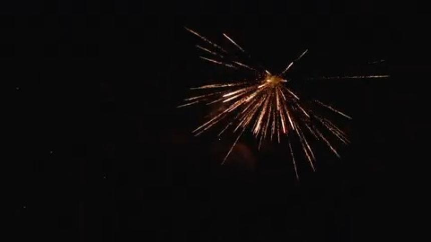 A burst of fireworks illuminates the dark night sky with streaks of light captured in a still image