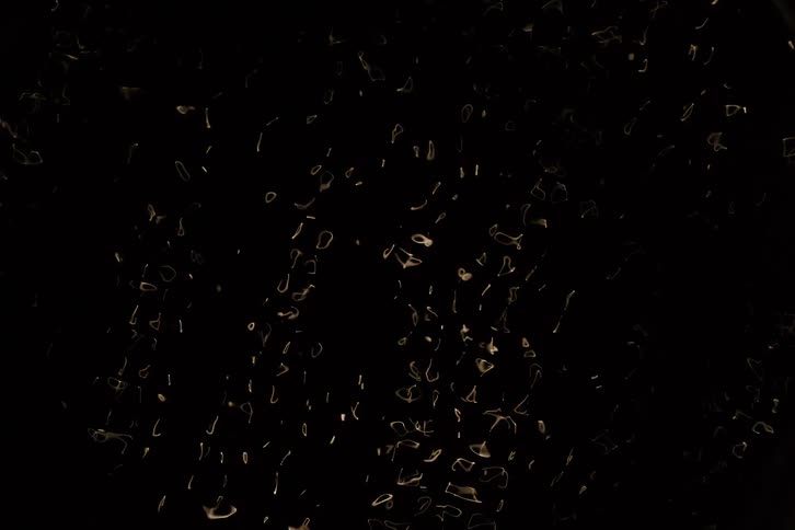 An abstract pattern of white wavy lines and shapes on a black background