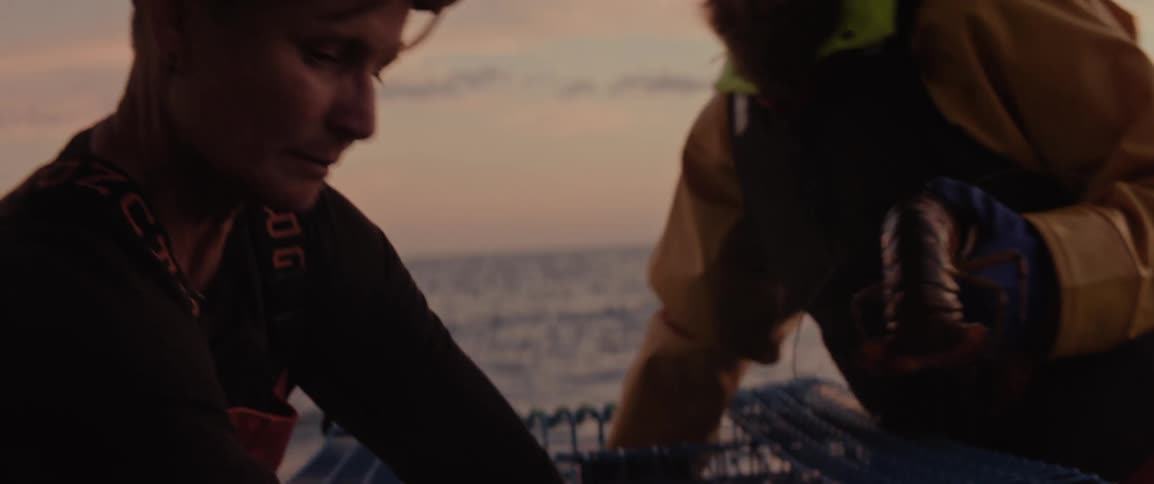 Two people getting lobsters out of a trap on board a fishing boat in the early morning