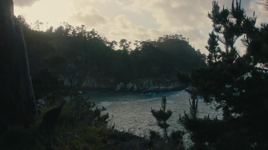 Landscape of a beach surrounded by the coast with trees