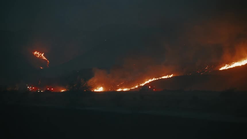 Forest on a mountain on fire at night