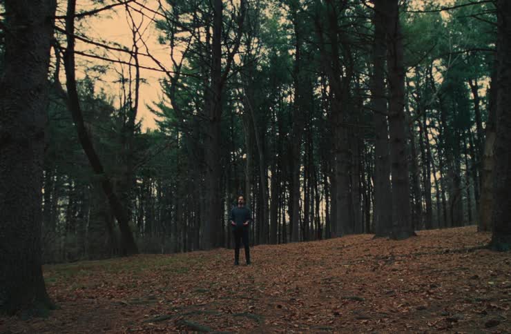 A person standing in a forest with big trees and lots of dry leaves on the ground