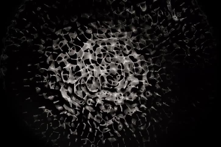 Closeup of light creating abstract patterns on the surface of vibrating water