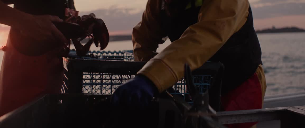 Fishermen gather lobsters from a trap at sunrise
