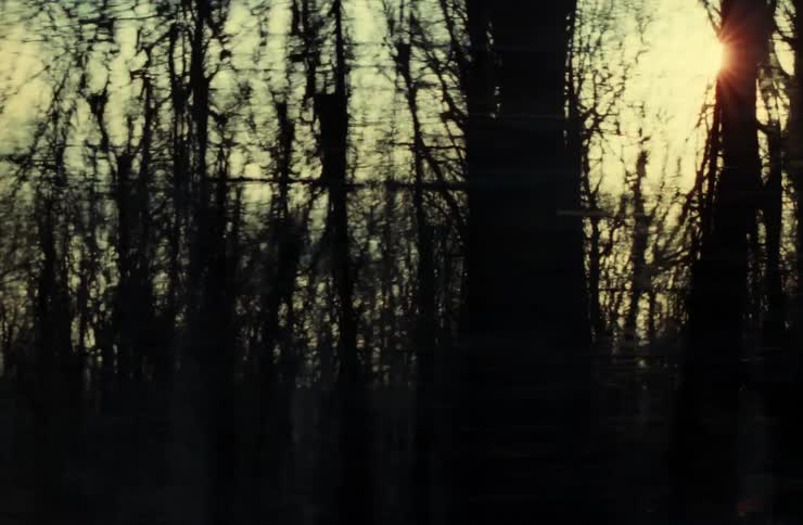 Trees whiz by in a blur captured from the interior of a moving vehicle with the sun peeking through their silhouettes