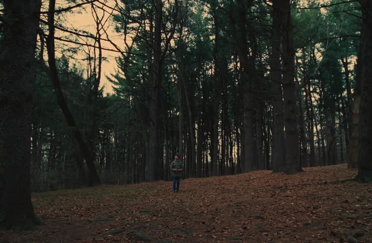 Static person in a forest in the late afternoon
