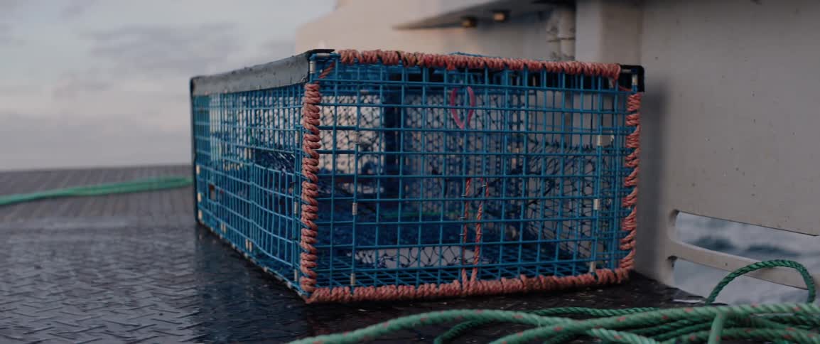 Fishing trap being pulled off the deck of a boat and into the ocean