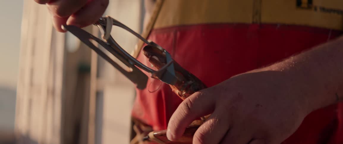 A person is using a specialized tool to band a lobster's claws after catching them