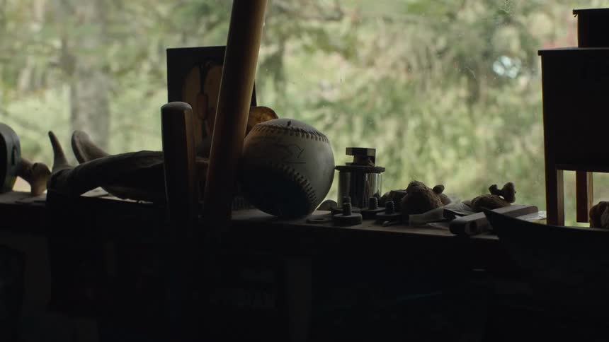 Baseball and a bat are among several dusty objects on a shelf near a window overlooking trees