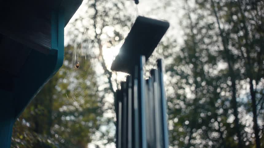 A spider crawls on its web by the wind chime
