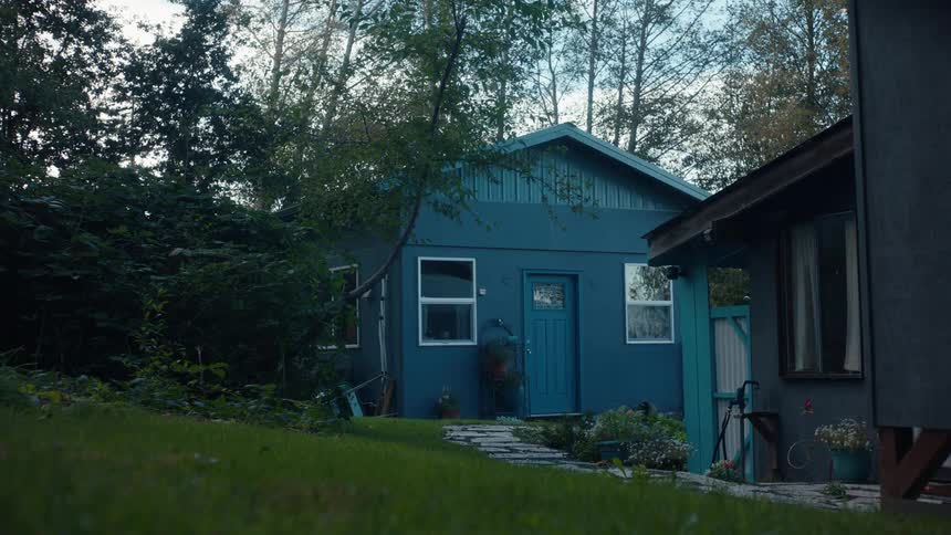 Blue houses in a place surrounded by trees