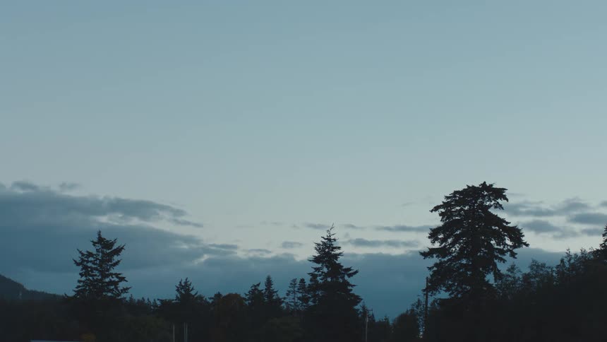Clouds move across the sky over an evergreen forest at sunset
